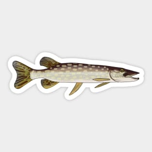 Northern Pike Sticker